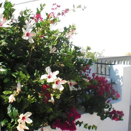 Apartment Maltabe Studios Andros Town